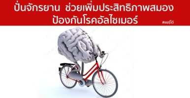 ปั่นจักรยาน ช่วยเพิ่มประสิทธิภาพสมอง ป้องกันโรคอัลไซเมอร์